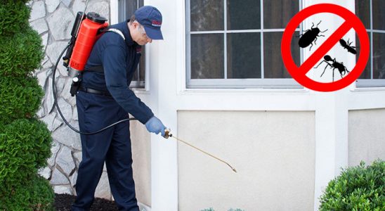 Ayvacık Bit İlaçlama böcek ilaçlama ve haşere kontrolü — ilaclama-tr.com